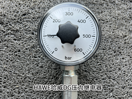 哈威DG 1 R 哈威DG 1 R